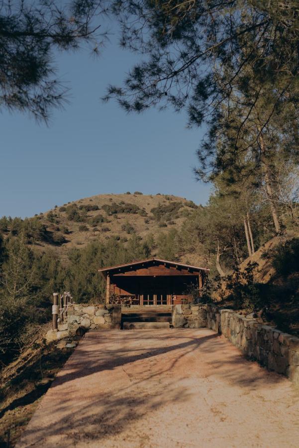 Bosco Paradiso Λεμεσός Εξωτερικό φωτογραφία