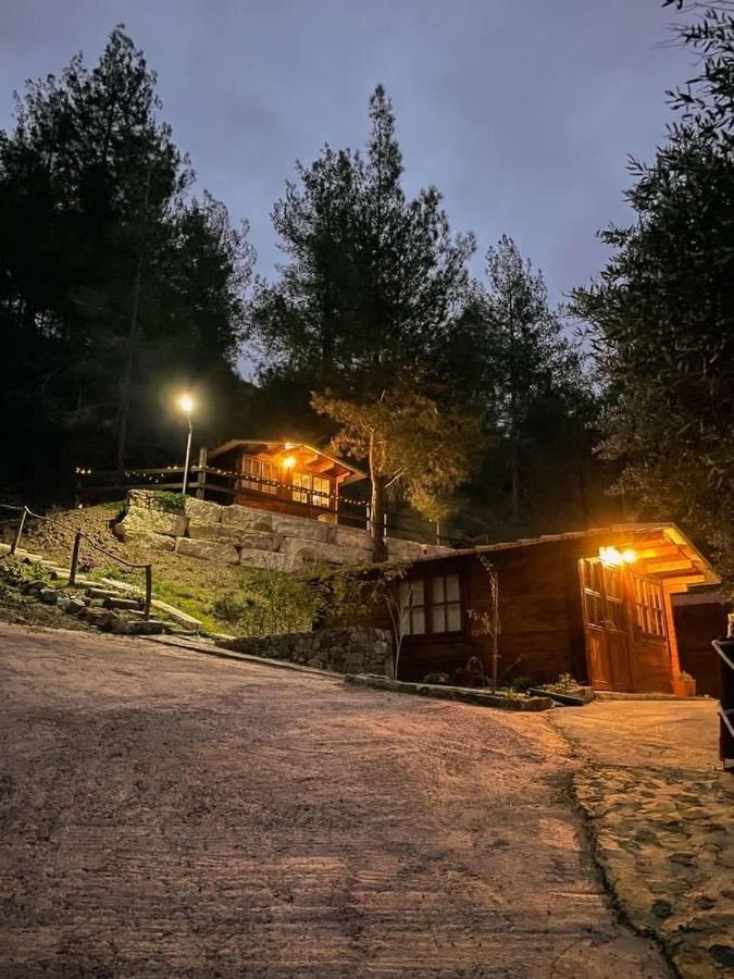 Bosco Paradiso Λεμεσός Εξωτερικό φωτογραφία